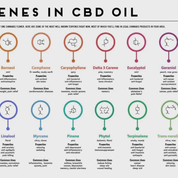 CBD Terpenes